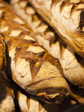 France  Moselle  Lorraine Region  Metz  Covered Market  Artisan Bread