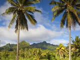 Rarotonga  Cook Islands  South Pacific