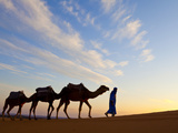Camel Driver  Sahara Desert  Merzouga  Morocco  (MR)