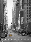 USA  New York  Manhattan  Midtown  7th Avenue