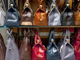 Italy  Florence  Tuscany  Western Europe  Leather Goods on Display