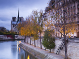 France  Paris  Cathedral Notre Dame Cathedral and Ile St-Louis  Dawn