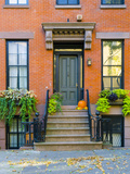 USA  New York  Brooklyn  Brooklyn Heights  Halloween Pumpkins