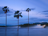 Venezuela  Guayana  Canaima National Park  Canaima Lagoon  Hacha Falls