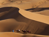 Camels and Dunes  Erg Chebbi  Sahara Desert  Morocco