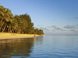Muri Beach  Rarotonga  Cook Islands  South Pacific