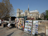 The Famous Cathedral of Notre Dame in Paris with the Bouquinistes in the Foreground  Paris