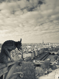 France  Paris  View from the Cathedrale Notre Dame Cathedral with Gargoyles