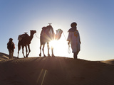 Tuareg Man with Camel Train  Erg Chebbi  Sahara Desert  Morocco