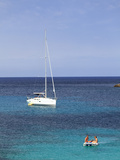 Spain  Balearic Islands  Ibiza  Cala Codolar Beach