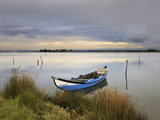 Traditional Boats in the Ria De Aveiro  Beira Litoral  Portugal