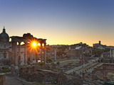 Roman Forum  Rome  Lazio  Italy  Europe