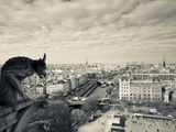 France  Paris  View from the Cathedrale Notre Dame Cathedral with Gargoyles