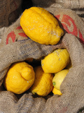 Lemons Lisbon Food Market  Portugal