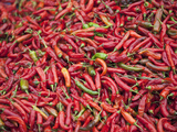 Red Chillies for Sale at Paro Open-Air Market  Red and Green Chillies are Very Important Ingredient