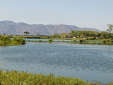 Malawi  Liwonde  View Downstream Along the Shire River from the Barrage Near Liwonde