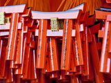 Japan  Kyoto  Fushimi-Ku  Fushimi Inari Taisha Shrine  Small Tori Gates