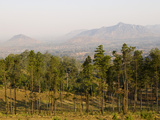 Malawi  Zomba  View over the Town of Zomba from the Lower Slopes of Zomba Plateau Where Once There 