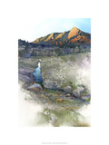Flatirons Sunrise - Boulder  Co