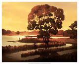 Evening Water I