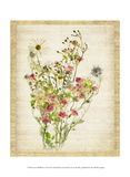 Linen Wildflowers II