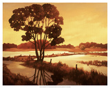 Evening Water II