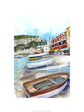 Isle of Capri  Italy