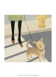 City Dogs I