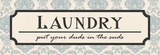 Laundry Suds