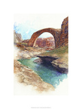 Rainbow Bridge - Lake Powell  Ut