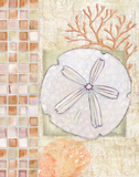 Mosaic Shell Collage IV