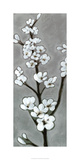 White Blossoms I