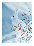 Snow Rabbit