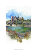 Notre Dame - Paris  France