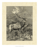 Vintage Roe Deer II