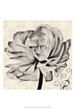 Ghost Flower II