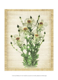 Linen Wildflowers IV