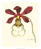 Majestic Orchid II