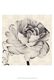 Ghost Flower I