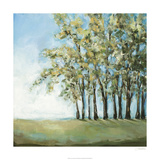 Tree in Summer