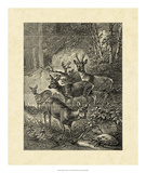 Vintage Roe Deer I