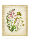Linen Wildflowers III