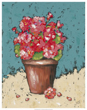 Bright Geraniums