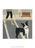 City Dogs III