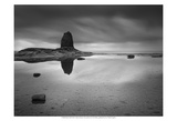Black Nab
