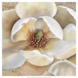 Magnolia Masterpiece II