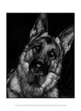 Canine Scratchboard II