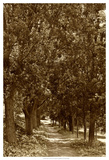 Road to Giverny