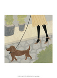 City Dogs IV