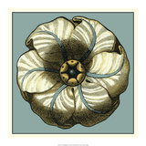 Floral Medallion IV